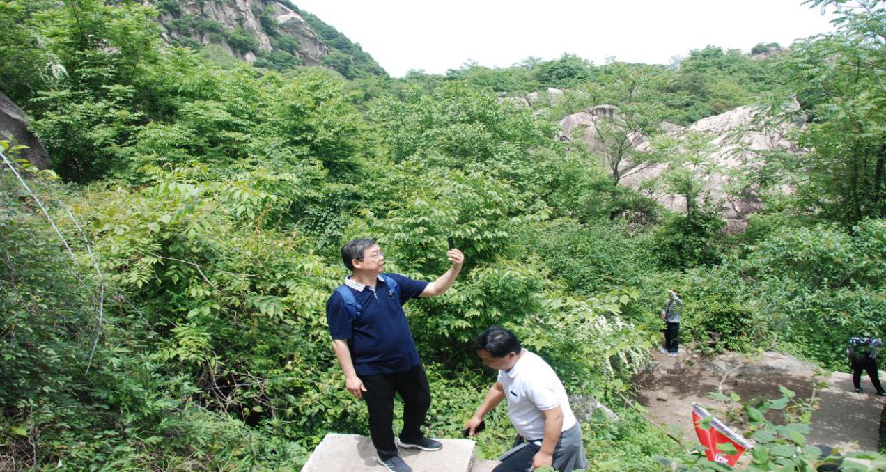 &#21315;&#20159;&#23448;&#32593;&#45;&#21315;&#20159;&#65288;&#20013;&#22269;&#65289;&#19968;&#31449;&#24335;&#26381;&#21153;&#23448;&#32593;